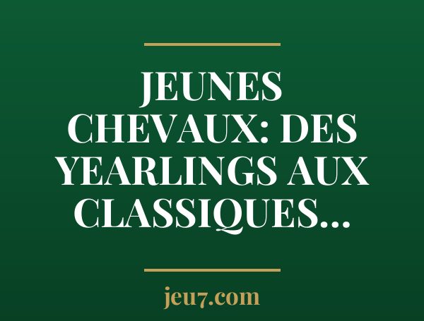 Jeunes Chevaux: des Yearlings aux Classiques