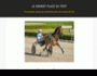 Le gagnant place du trot