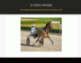 Le cheval magique